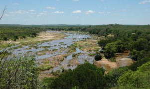 River in Kruger National Park