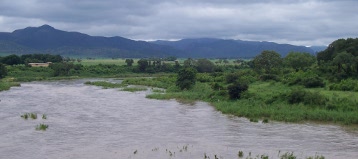 Crocodile River near Malelane Gate