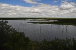 Pioneer Dam, Mopani Rest Camp